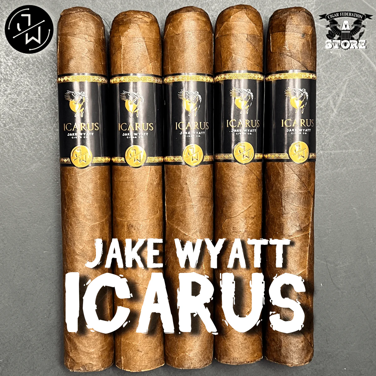 JAKE WYATT ICARUS