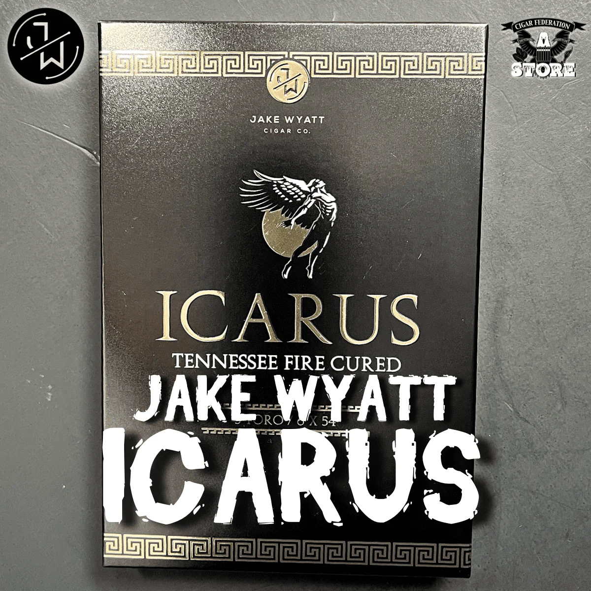 JAKE WYATT ICARUS - Image 2