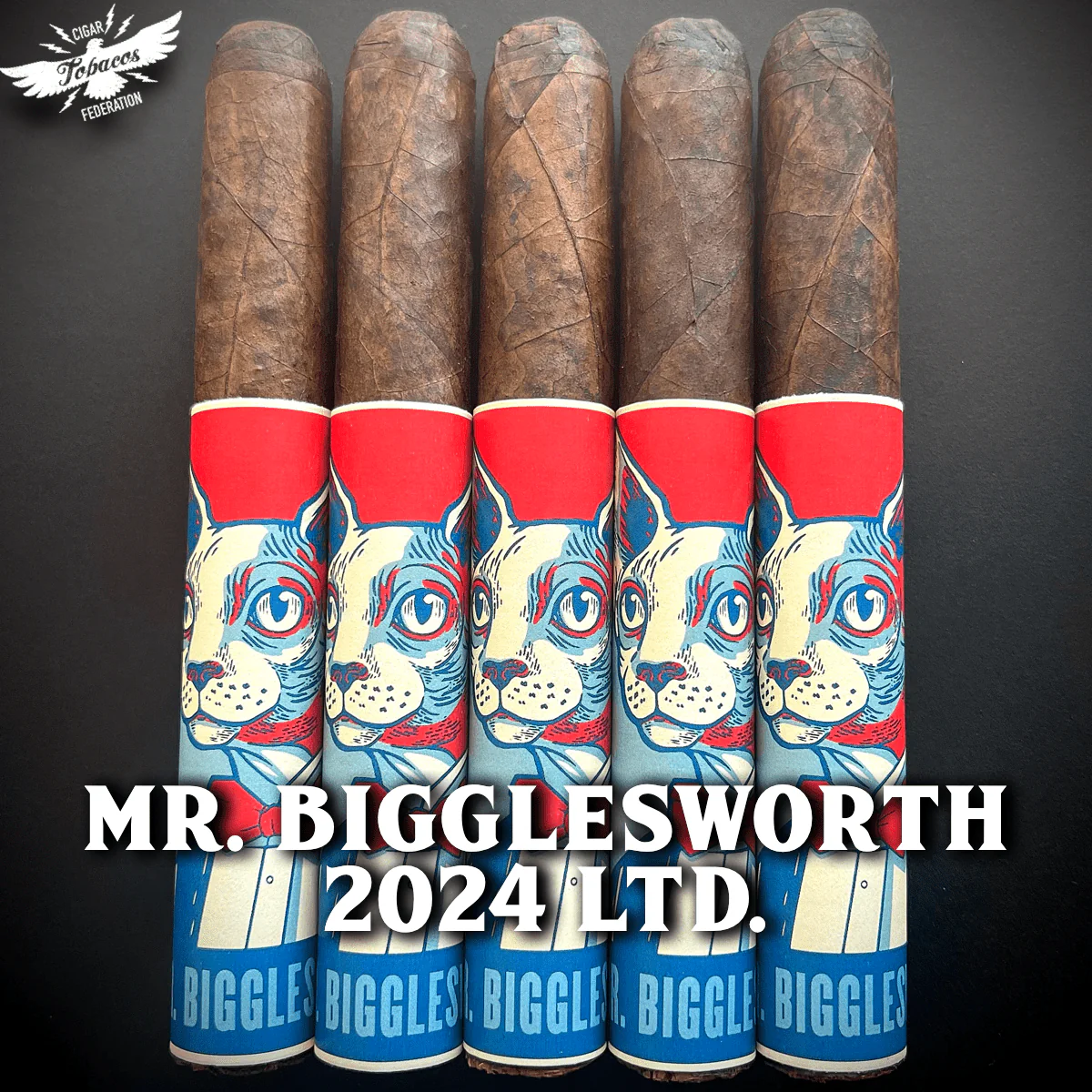 MR. BIGGLESWORTH 2025 Ltd. - Image 2
