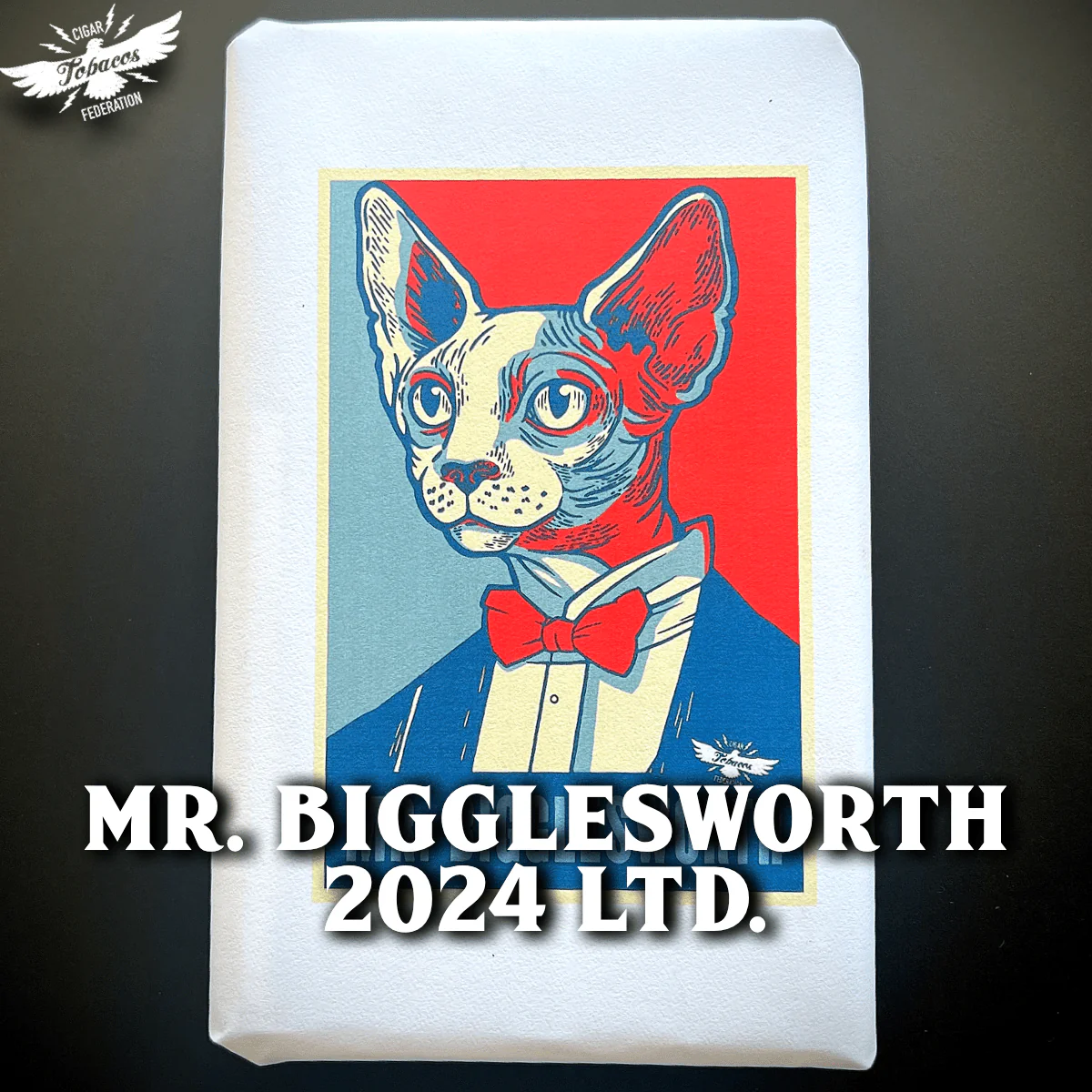 MR. BIGGLESWORTH 2025 Ltd. - Image 3