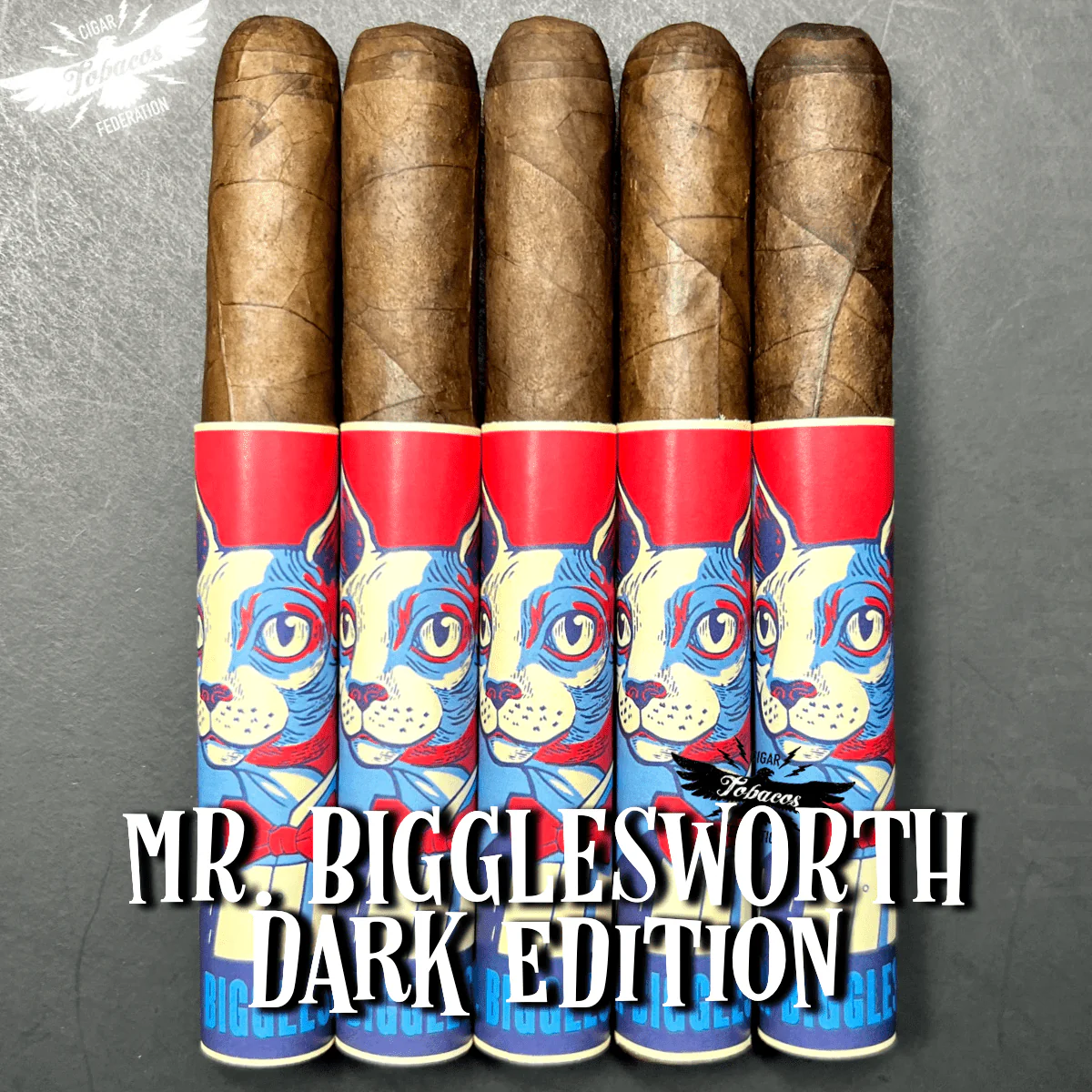 MR. BIGGLESWORTH 2025 Ltd. - Image 4