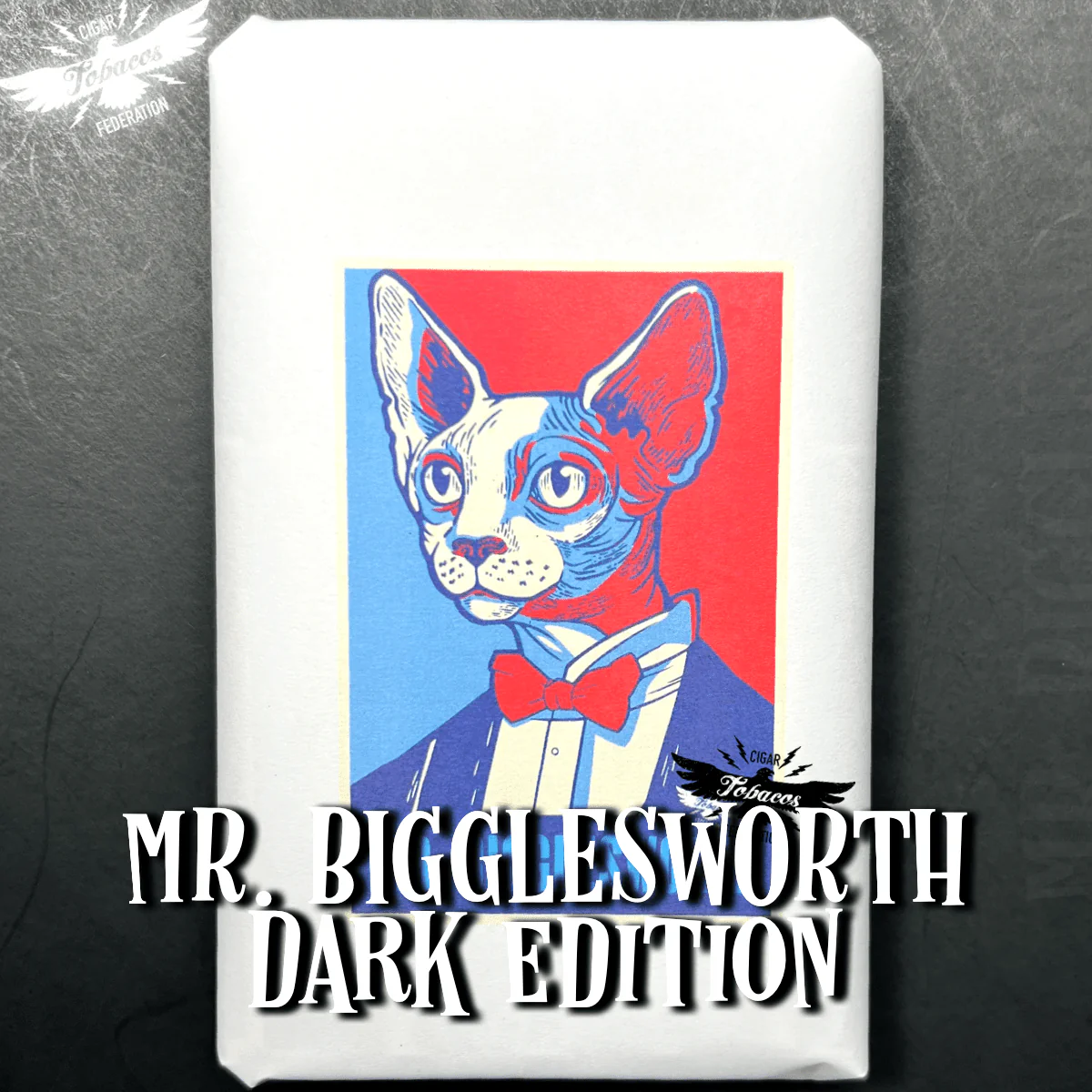 MR. BIGGLESWORTH 2025 Ltd. - Image 5