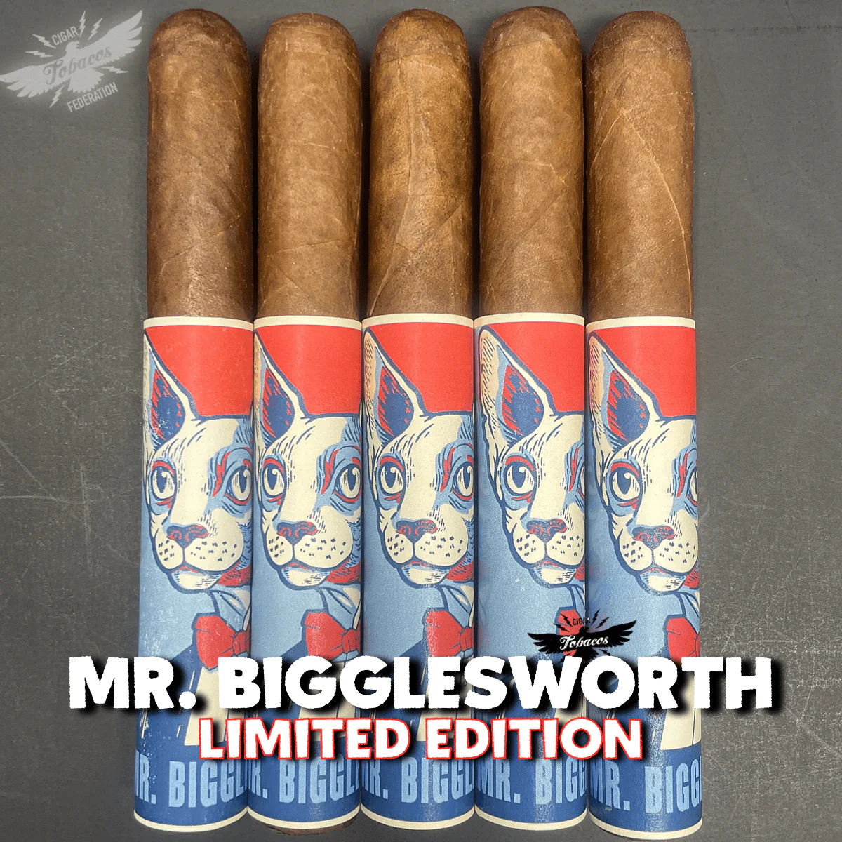 MR. BIGGLESWORTH 2025 Ltd. - Image 6