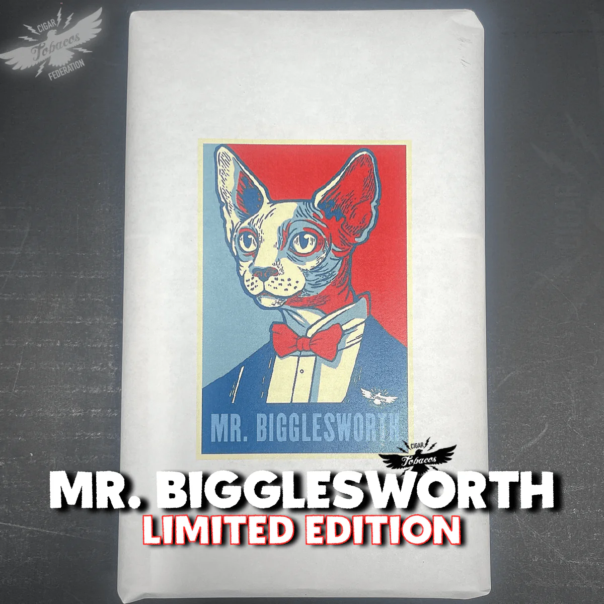 MR. BIGGLESWORTH 2025 Ltd. - Image 7