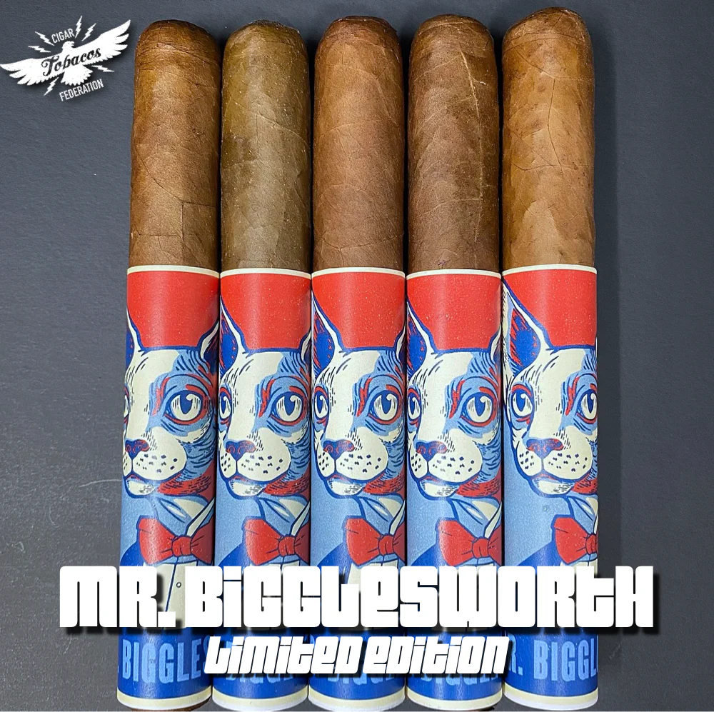MR. BIGGLESWORTH 2025 Ltd. - Image 8