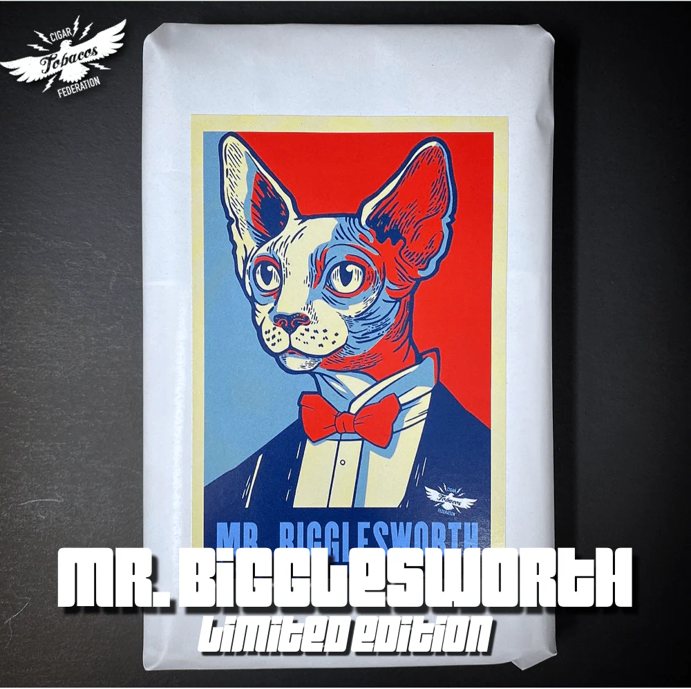 MR. BIGGLESWORTH 2025 Ltd. - Image 9
