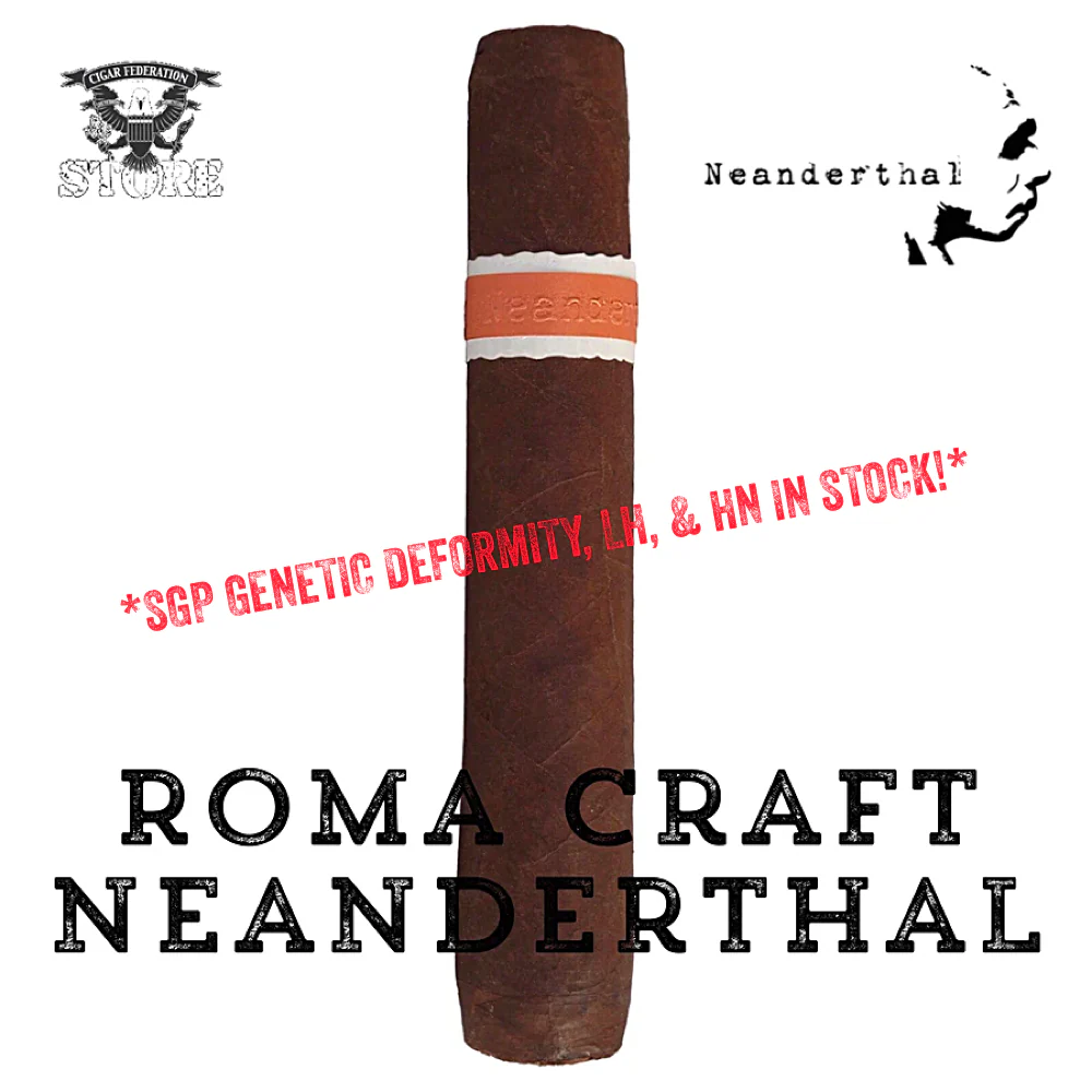 Roma Craft NEANDERTHAL - Image 5