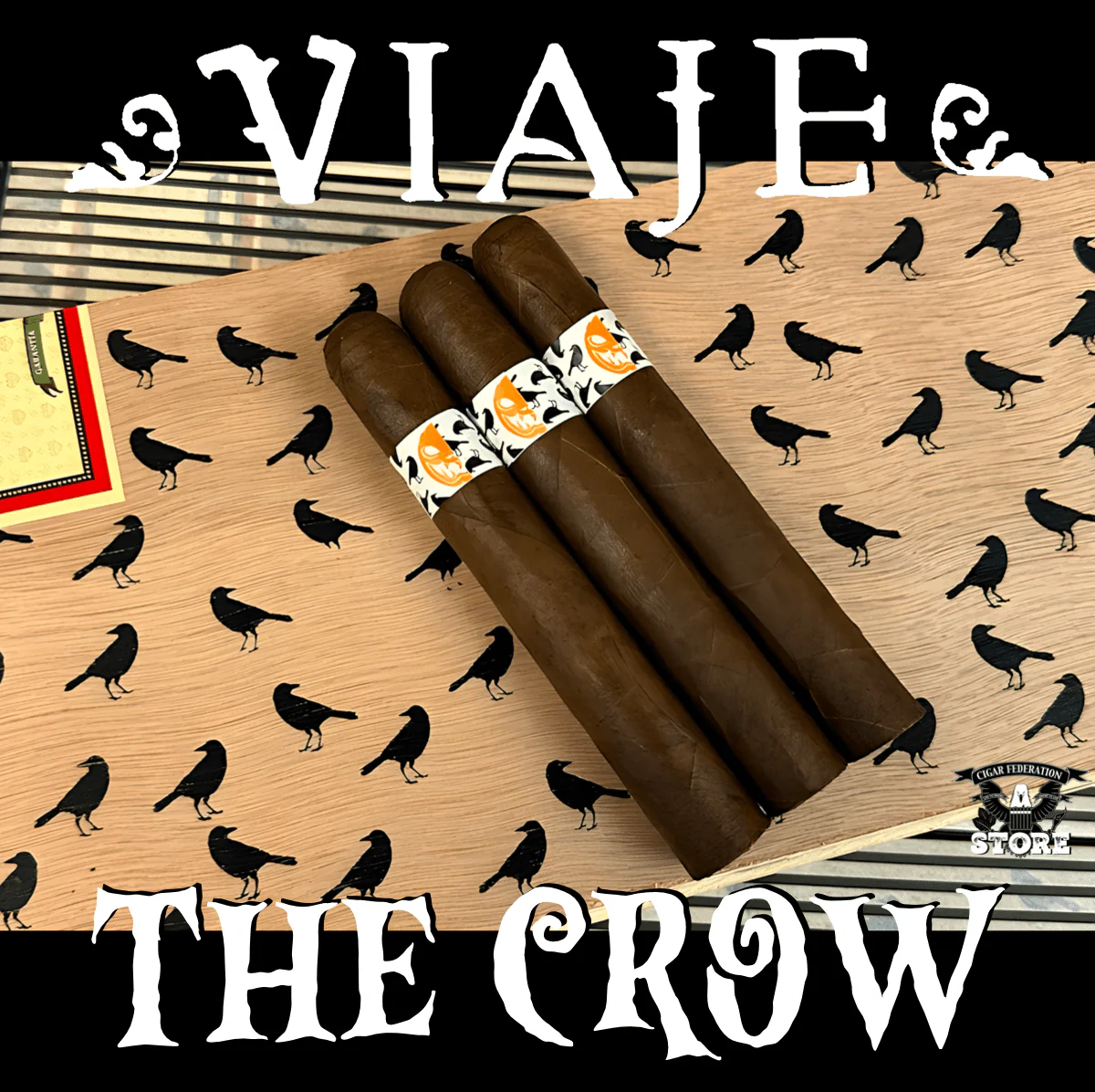 VIAJE THE CROW & THE CROW EL