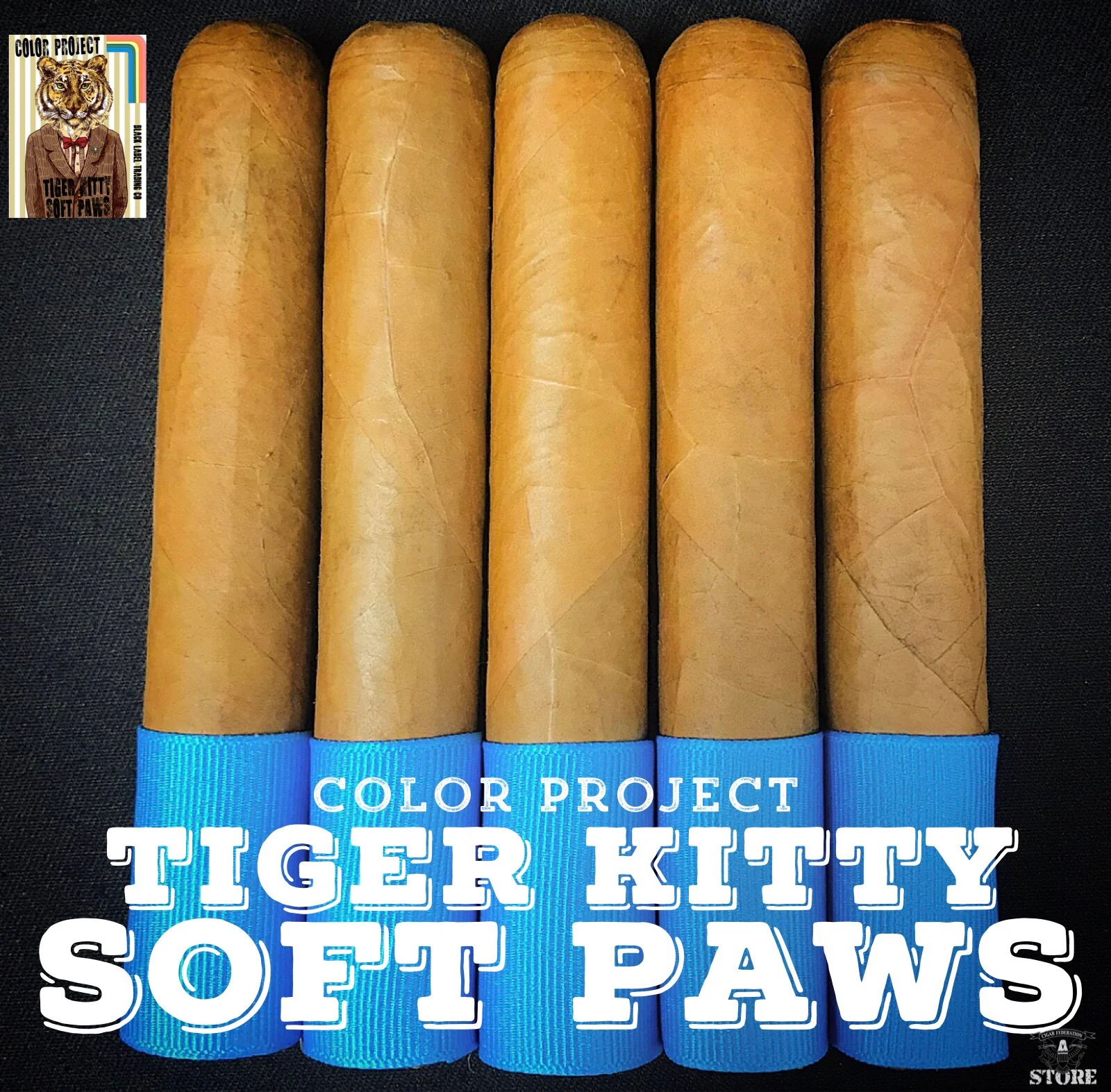 Tiger Kitty Soft Paws 2022 - Image 3