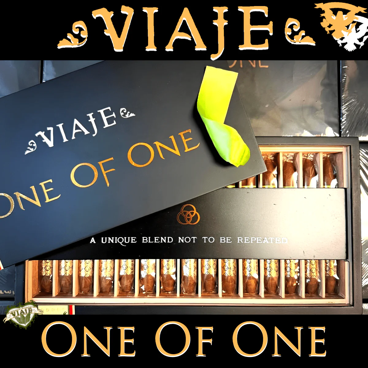 VIAJE ONE OF ONE