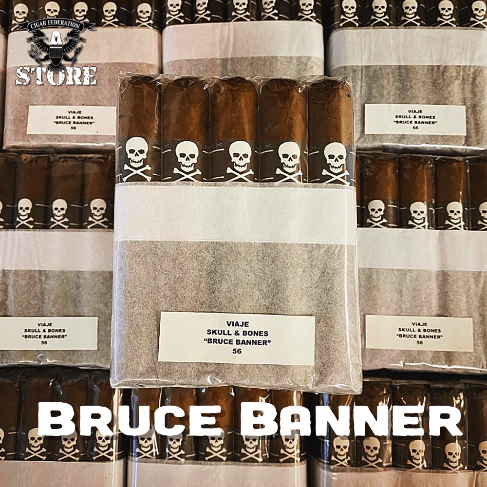 VIAJE Bruce Banner and THE HULK - Image 2
