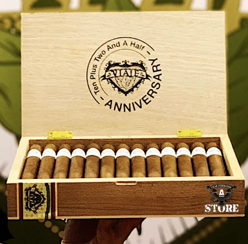 VIAJE Ten Plus Two and a Half Anniversary - Image 2